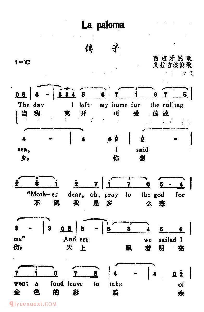 鸽子 La Paloma | 西班牙