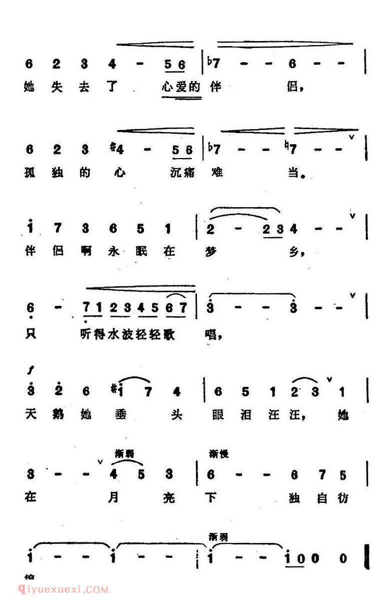 天鹅 选自动物狂欢节组曲的曲调