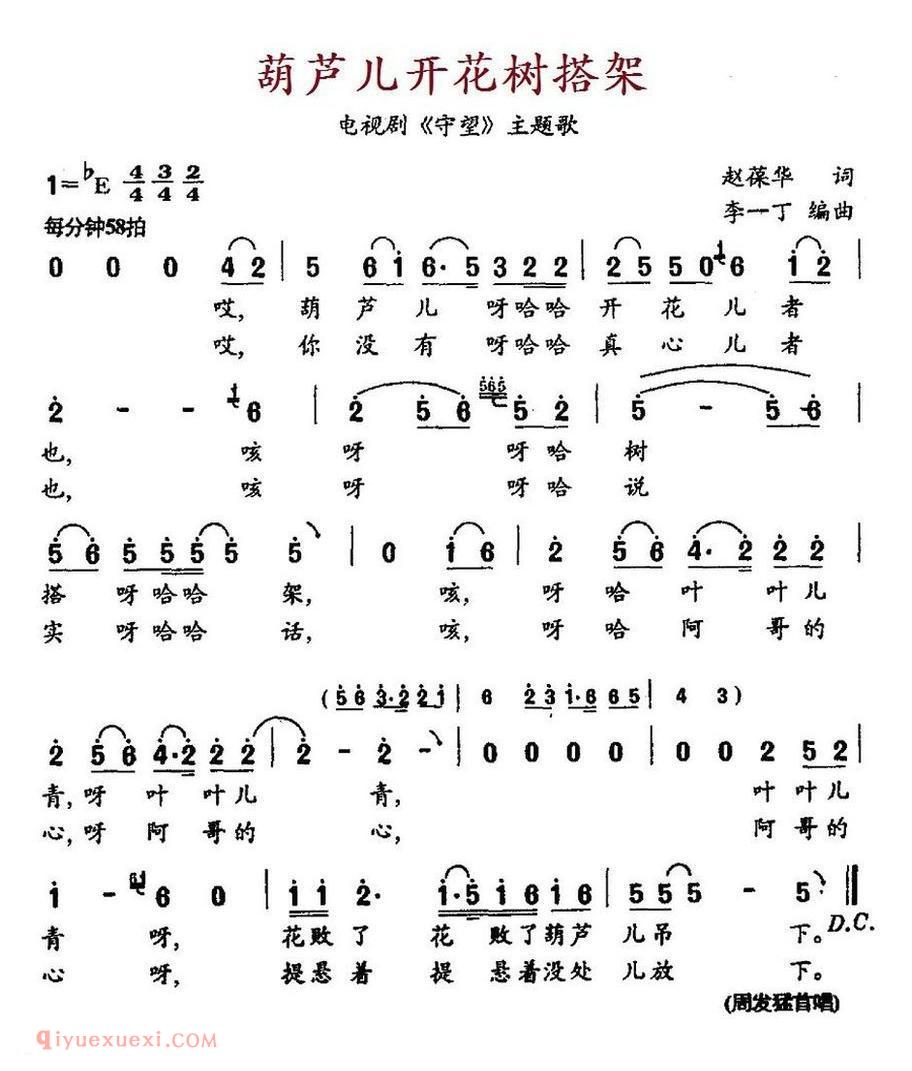 葫芦儿开花树搭架 电视剧《守望》主题歌