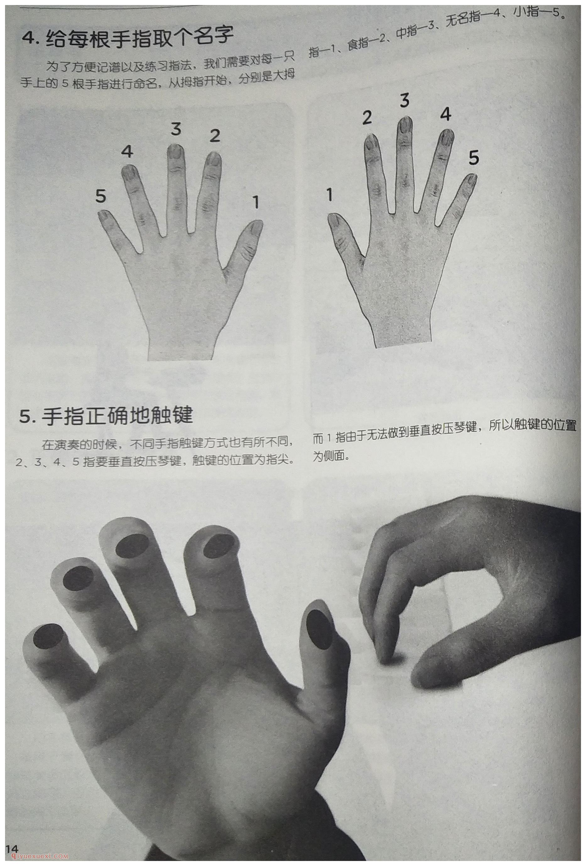 初学电子琴给每根手指取个名字及手指正确地触键方法