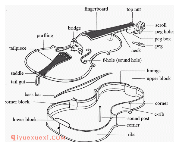 小提琴结构专门术语及解释