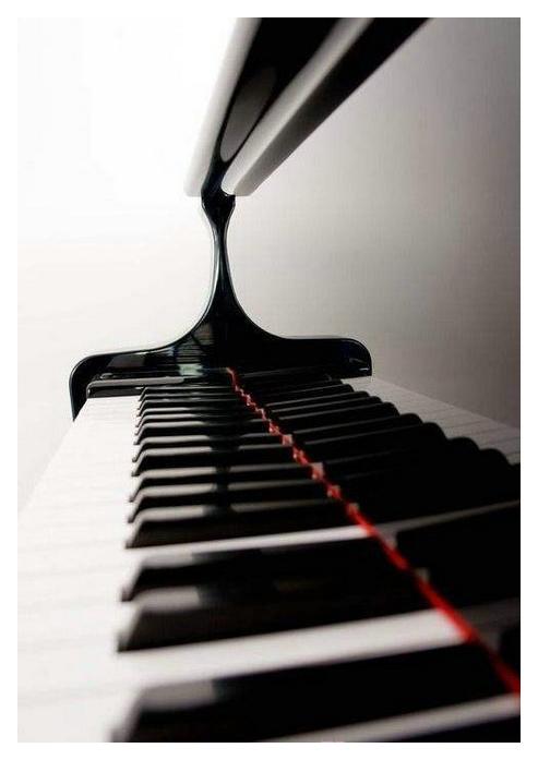 会弹钢琴是不是就会弹电子琴?会弹电子琴是不是也会弹钢琴?