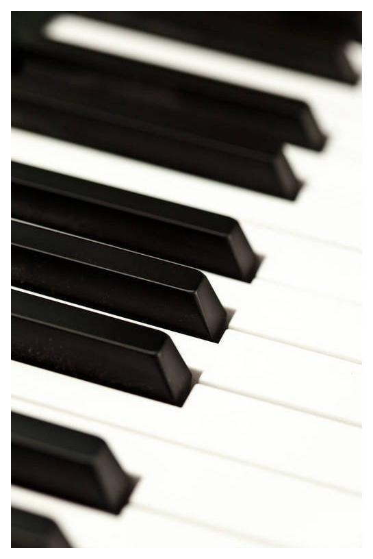 钢琴学习是走向社会的一张通行证 
