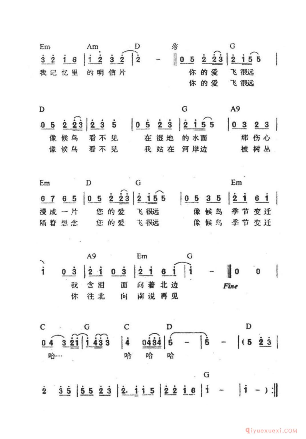 候鸟（方文山词 周杰伦曲）简谱