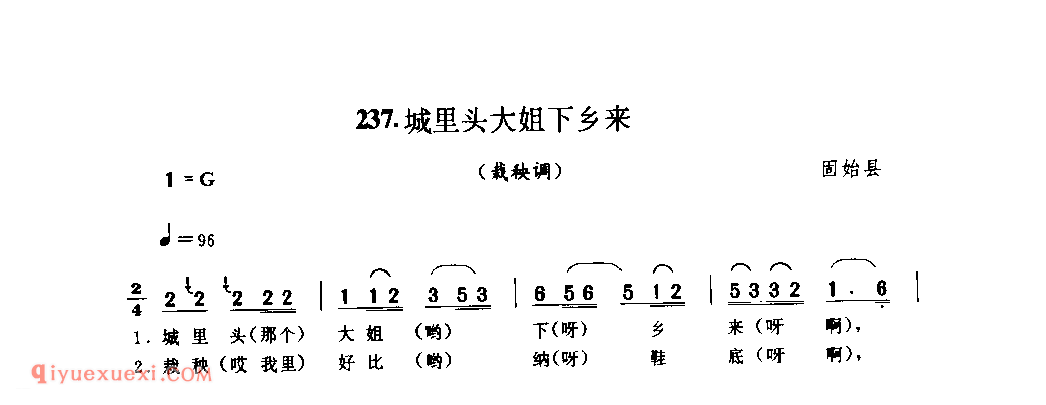 城里头大姐下乡来