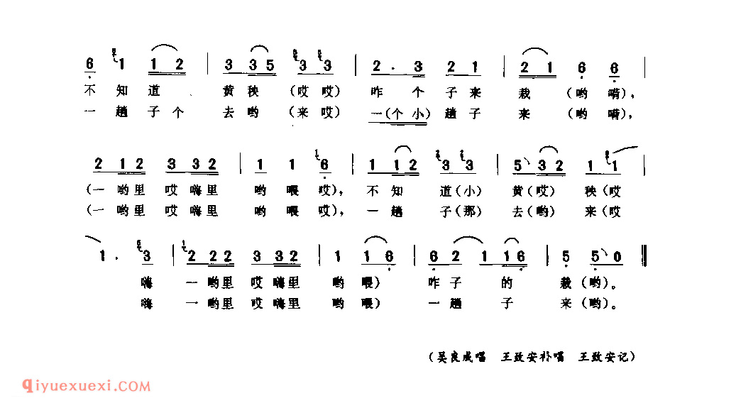 城里头大姐下乡来