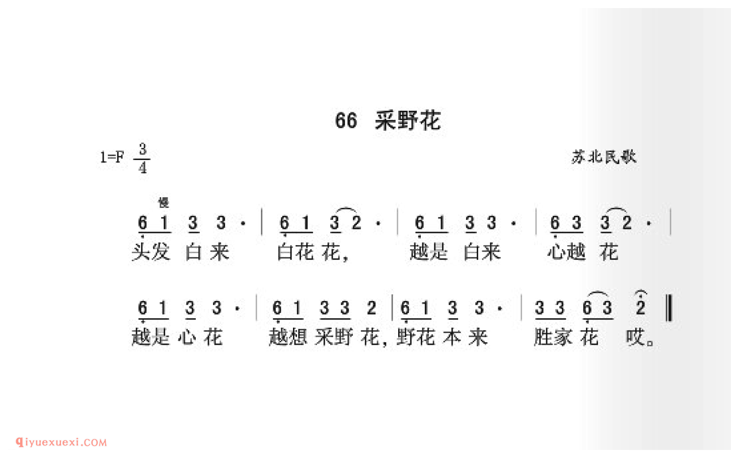 采野花简谱_苏北民歌_中国原生态民歌