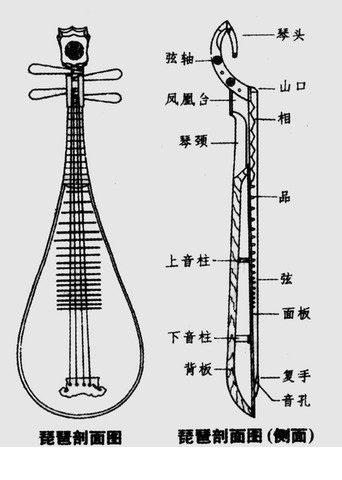 琵琶干货，中国民族乐器琵琶基础知识