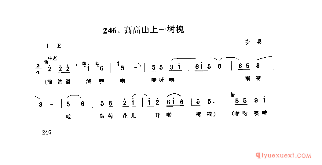 高高山上一树槐 安县_薅秧歌 薅草歌_四川汉族民歌简谱