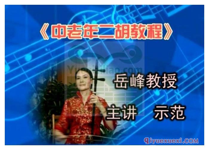二胡教学视频下载 | 岳峰中老年二胡视频教程(DVD)合集免费下载
