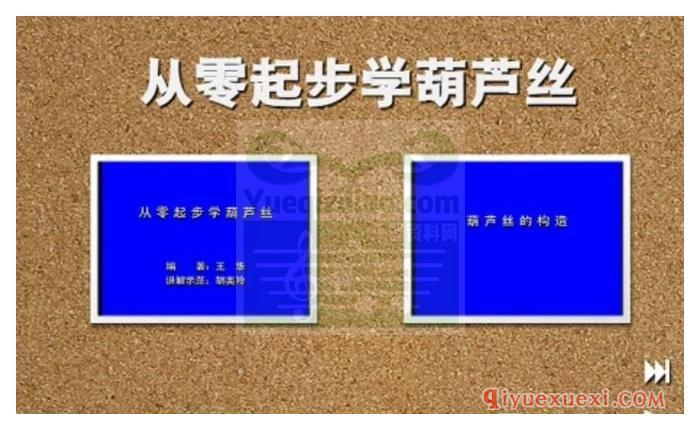 葫芦丝教学视频 | 胡美玲·从零起步学葫芦丝视频教程全集免费下载