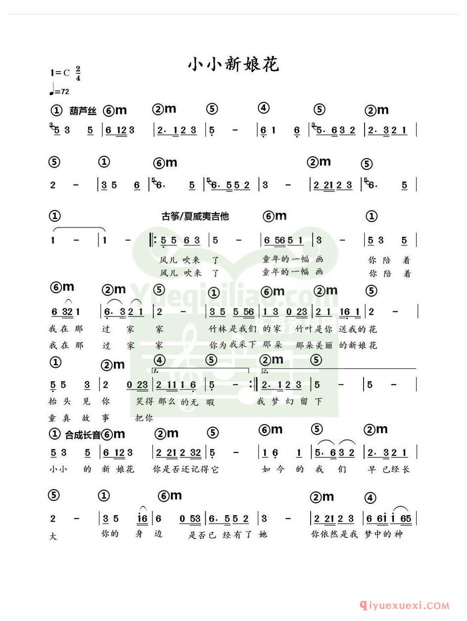 电子琴带和弦简谱 │ 小小新娘花(农村乐队)