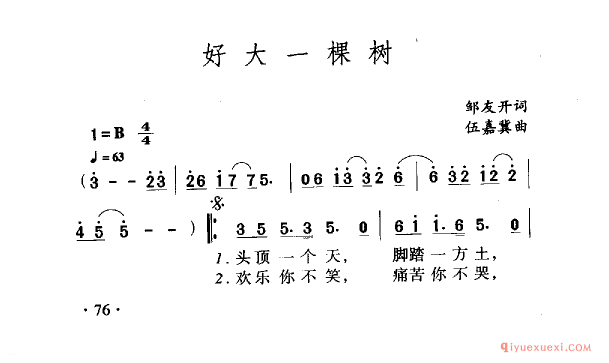 好大一棵树