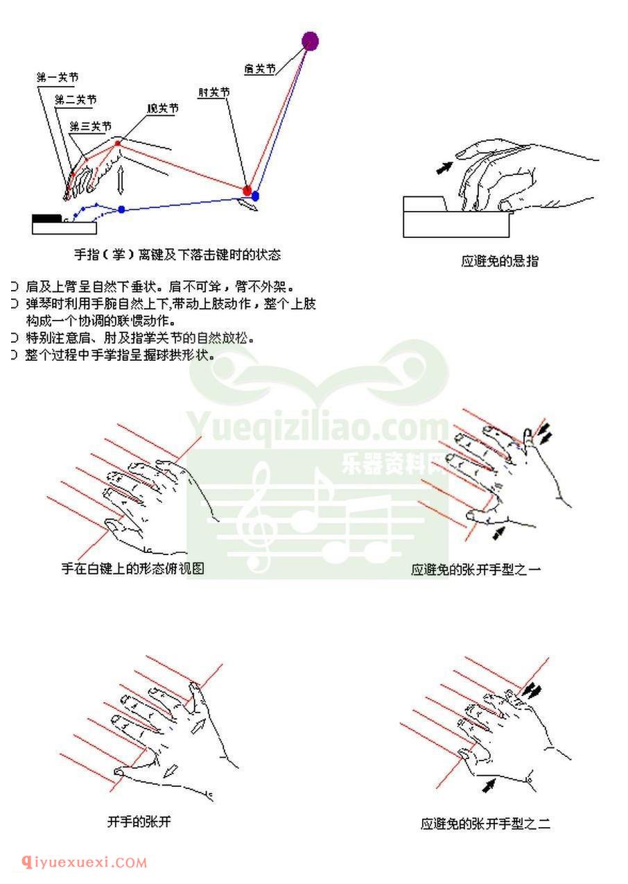 电子琴指法与手型图解