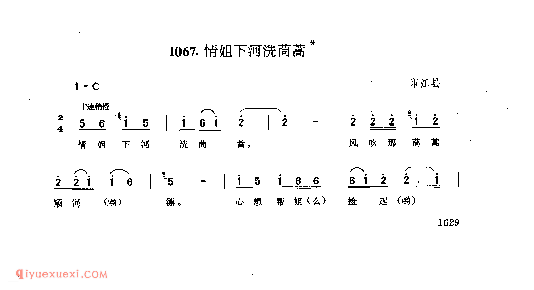 情姐下河洗茼蒿